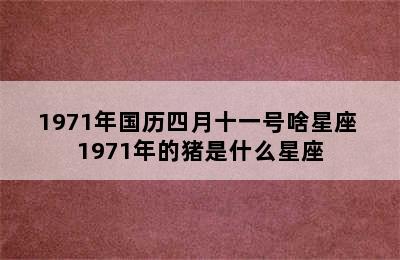 1971年国历四月十一号啥星座 1971年的猪是什么星座